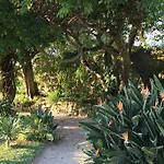 Quinta De Sao Thiago Pensionat Sintra