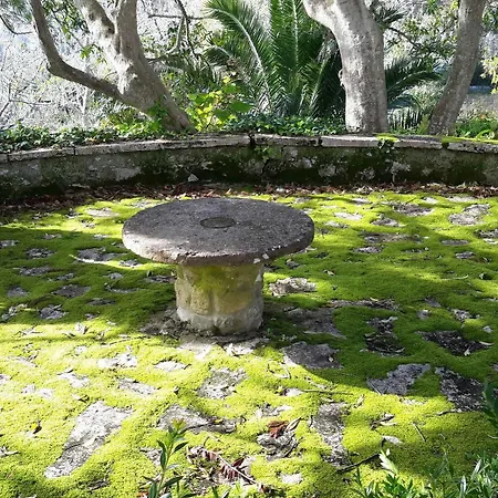 بيت ضيافة Quinta De Sao Thiago 4*