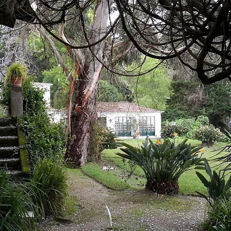 بيت ضيافة Quinta De Sao Thiago 4*