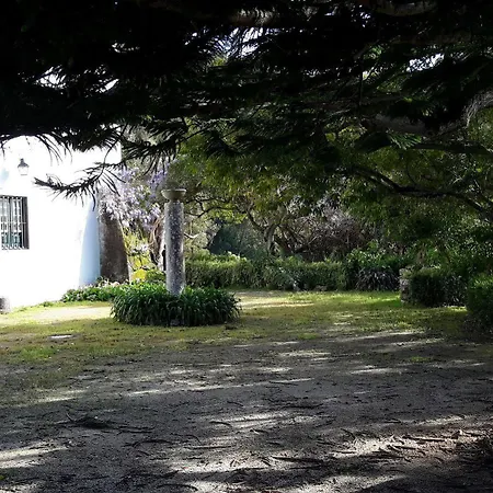 بيت ضيافة Quinta De Sao Thiago سينترا