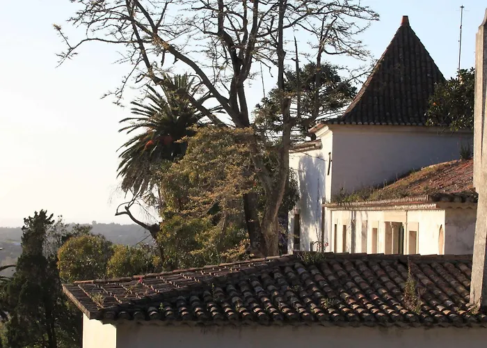 Pensjonat Quinta De Sao Thiago 4*